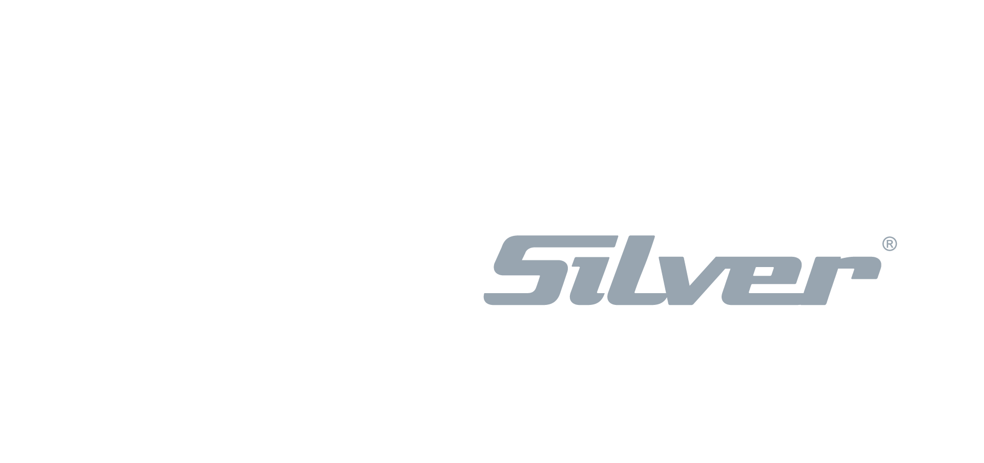 Silver Boats Viper DCz  Available From Farndon Marina