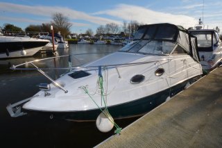 Regal 2460 Kiwi Rose Advert 2